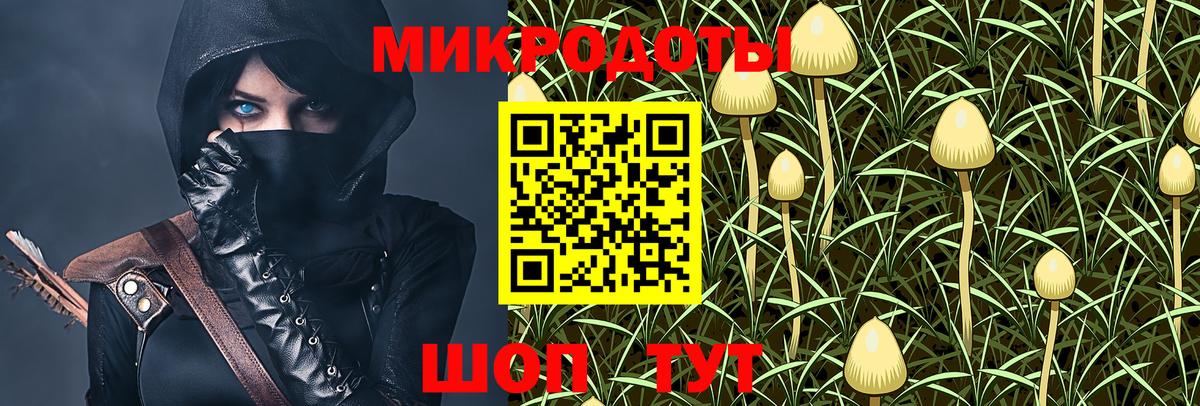 Псилоцибиновые грибы прущие грибы Нижнекамск