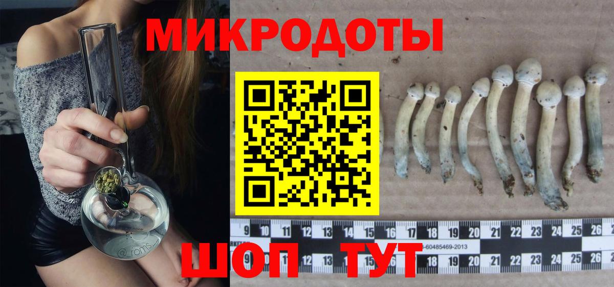 Галлюциногенные грибы прущие грибы  Вход с VPN  Нижнекамск 